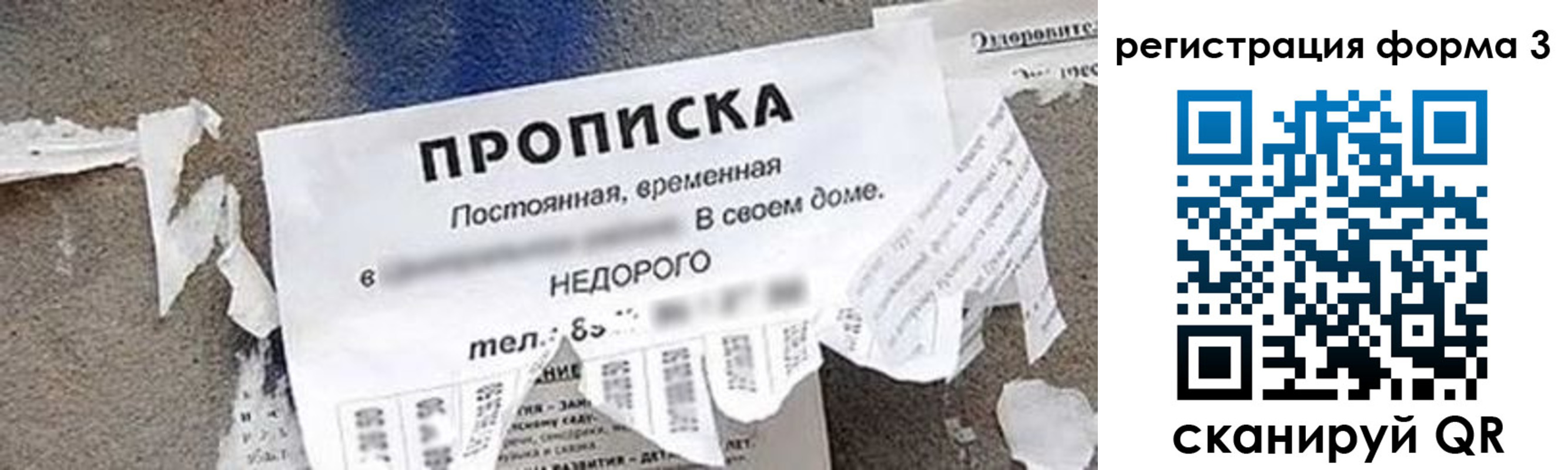 прописка 2025 в Новодвинске